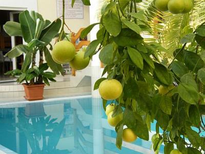 ✔️ Wellness csomagok a Hotel Kakaduban - ✔️Wellness Hotel Kakadu*** Keszthely ✔️ Kakadu Hotel Akció